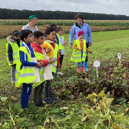 IVN Natuur Educatie – Heerlijke pompoensoep