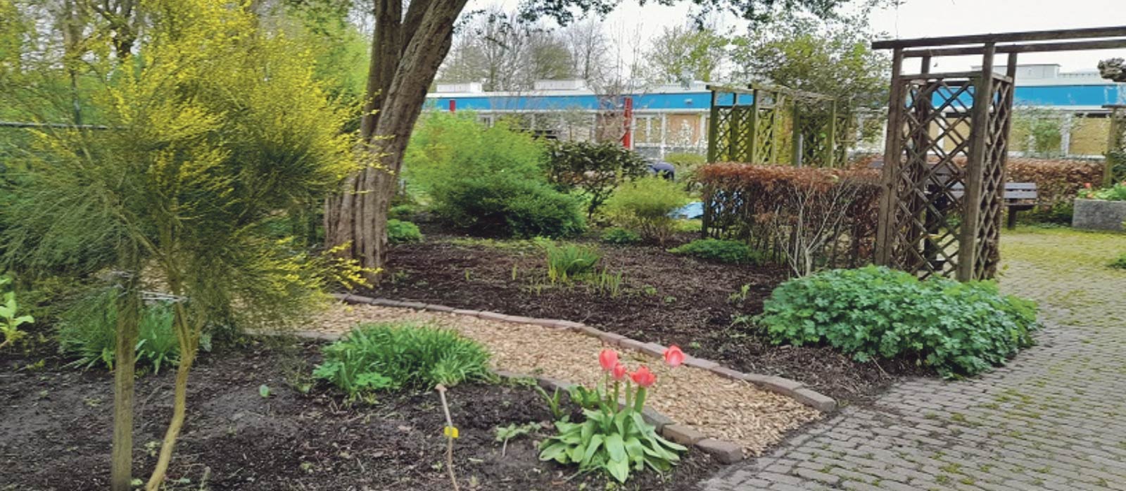ruiltuin