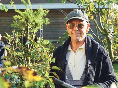 Voorjaar in de tuin